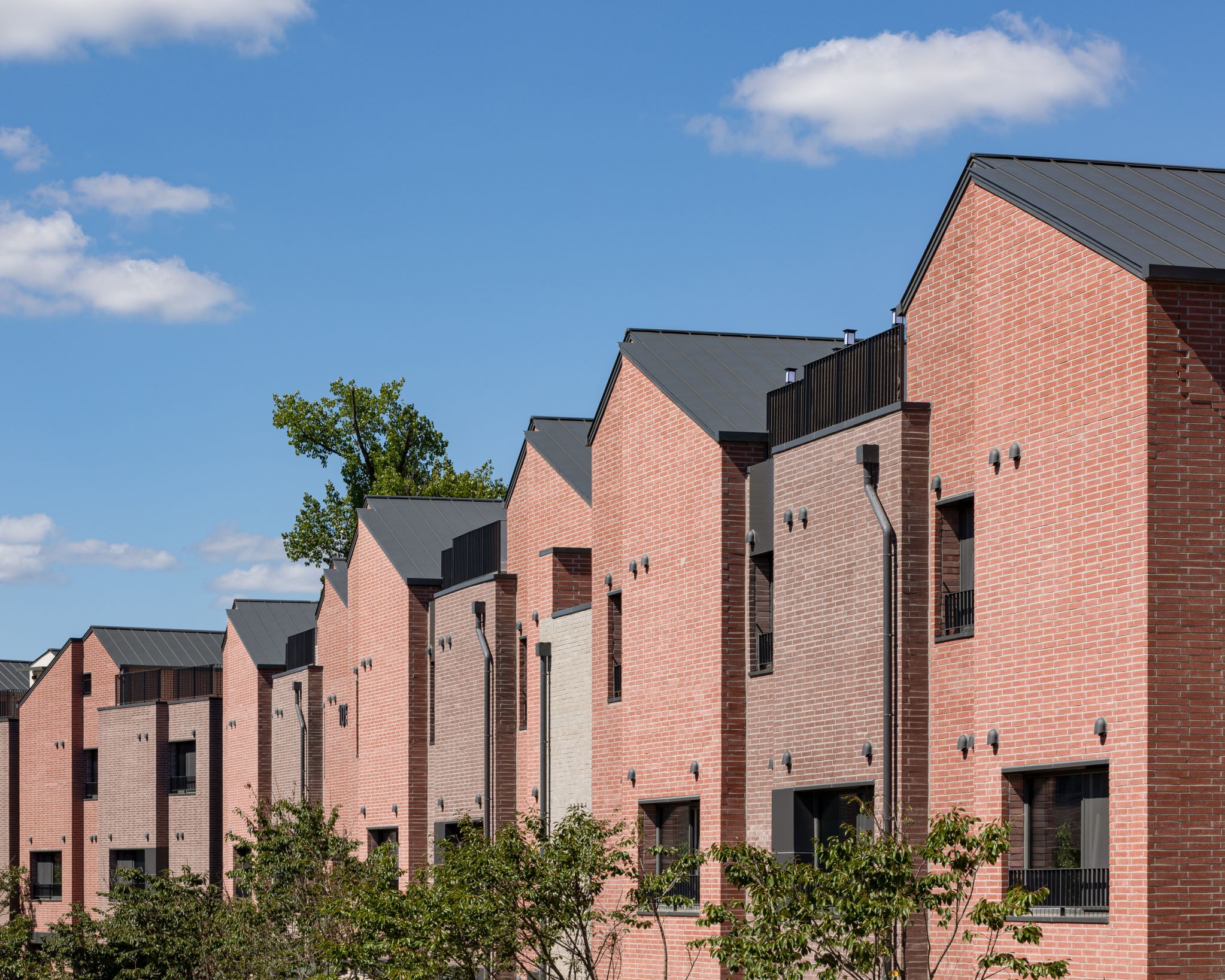 라피아노 스위첸 양주옥정